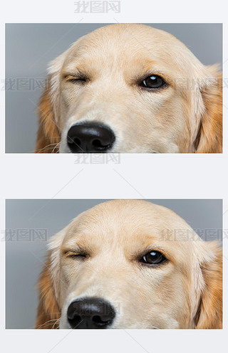 pĽɫCȮ
