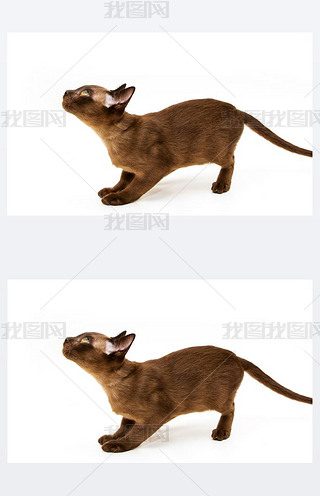 ɫ؈Ưɐ۵С؈ڰɫϡıλáV, MϢFt\, Ϻ̈́N.