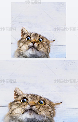 º@Ӡֻɫ؈?zh)^c۾