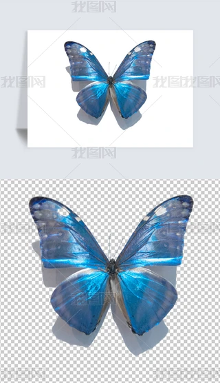 ͸ԪءӮzӰ͸PNG