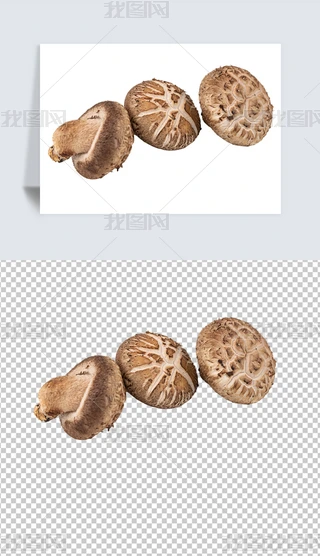 ë⓸ԪءʳƷƷ͸PNG