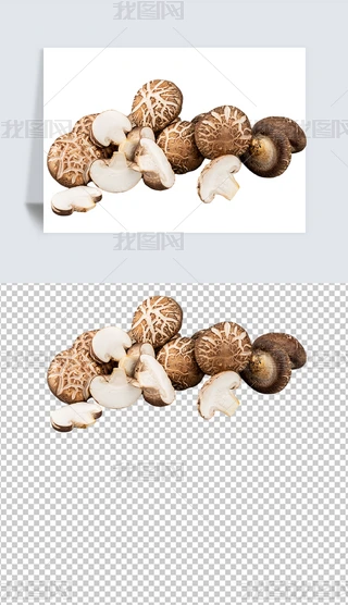 ë⓸ԪءʳƷƷ͸PNG