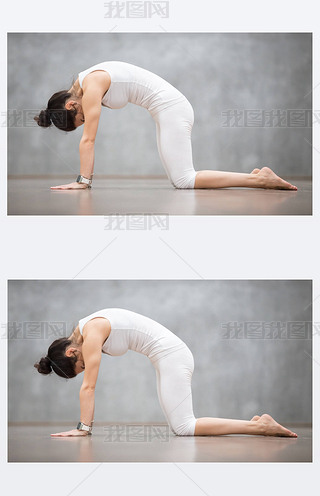 ٤U ؈Marjaryasana ˄