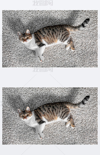 ɐȤ؈