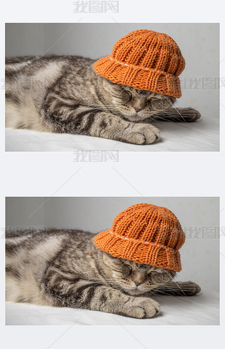 ȤĻɫlyKmһ(g)ɫĶ^ϵñһӵ؈