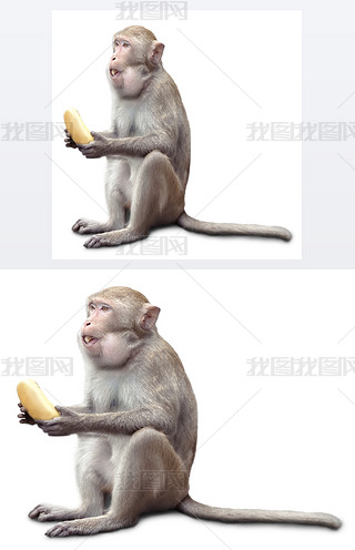 ͳ㽶