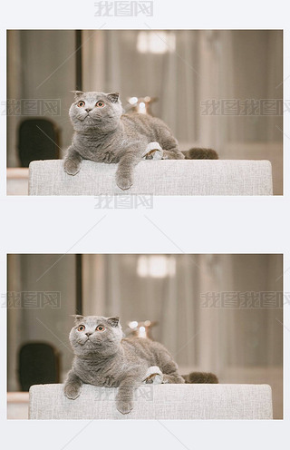 Ęɐ