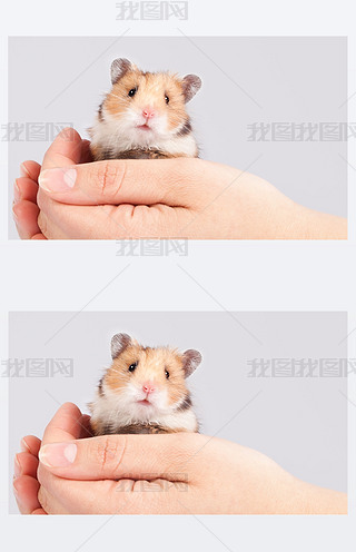 еС}(cng)