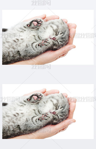 ˯XС؈