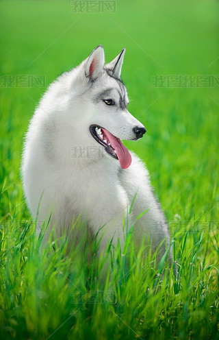 ʿϾGݱ