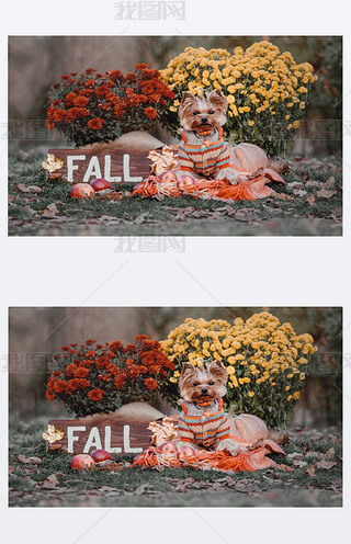 ƷNsȮһϹ~ ջ һKľƸĞ