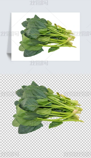 ⓸ԪءʳƷƷ͸PNG