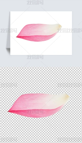 ɻ⓸Ԫֲɻ͸PNG