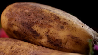 ʳ