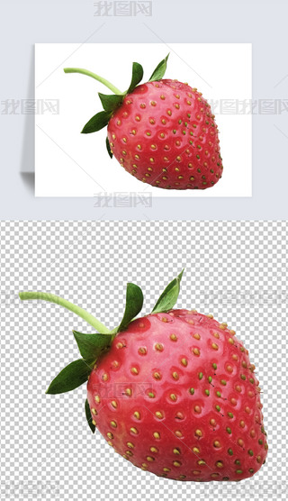 rݮƬԪ1