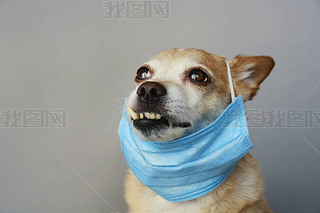 t(y)Աo(h)ԼܸȾ՚Ⱦ_{f˹