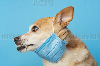 t(y)Աo(h)ԼܸȾ՚Ⱦ_{f˹