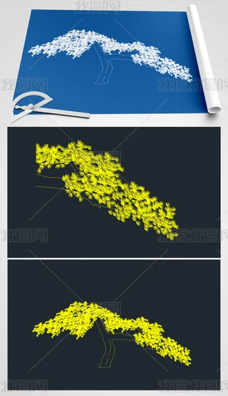 CADD