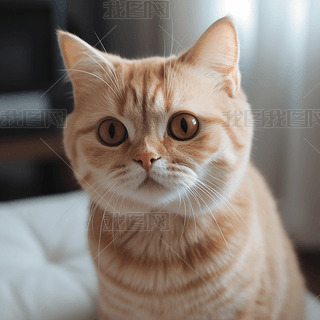 ë؈