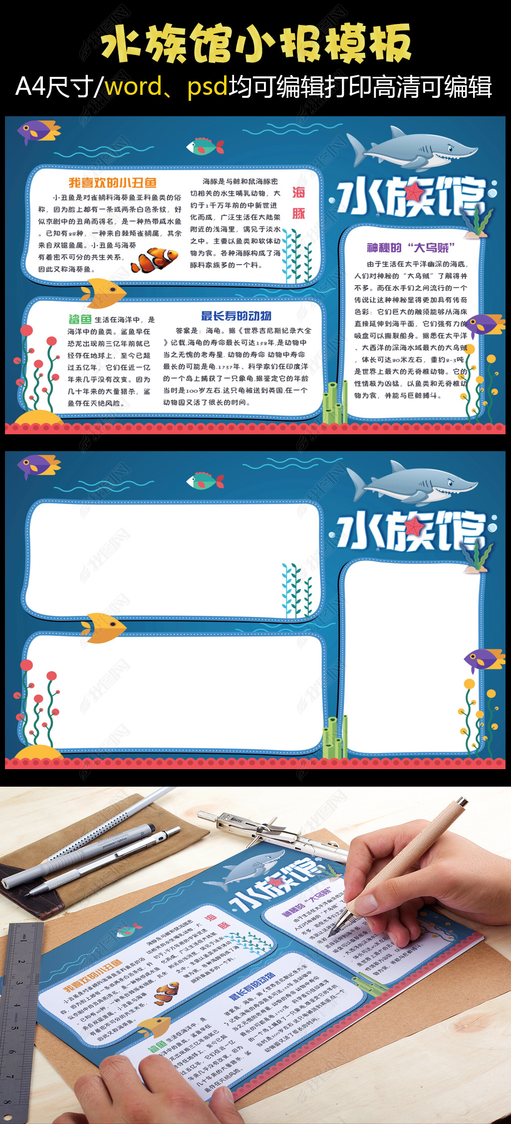 原创水族馆海底世界小丑鱼小报电子手抄报版权可商用