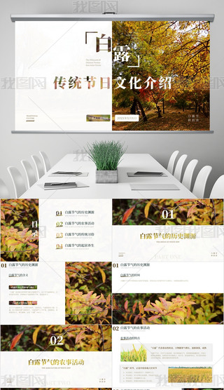 СL(fng)y(tng)(ji)ĻB֮¶PPTģ