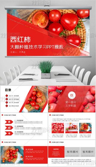 O(sh)ʩr(nng)I(y)tNֲg(sh)tPPTģ