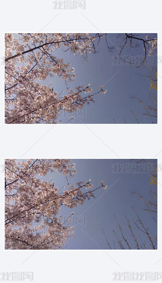 еķɫѻΨ