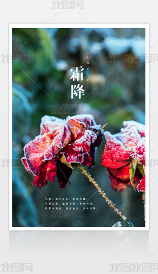 ˪(bo)ʮĹ(ji)˪(ji)(bo)ģ