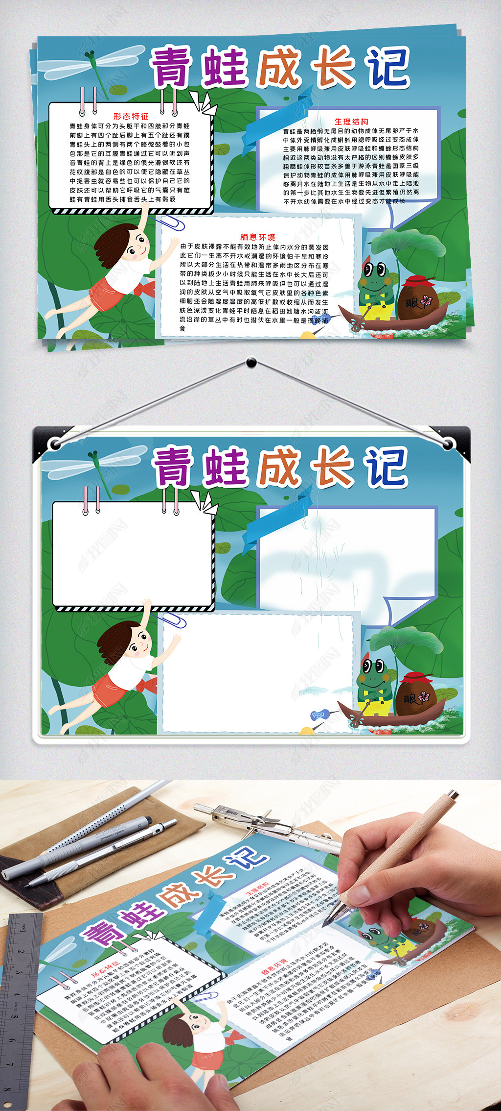 原创可爱小青蛙成长过程手抄报小报psd版权可商用
