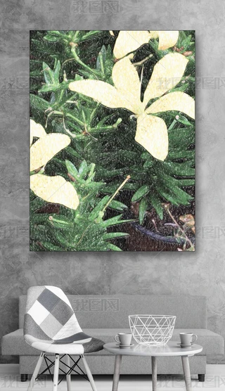 ̫ꖻAILʽfWeb