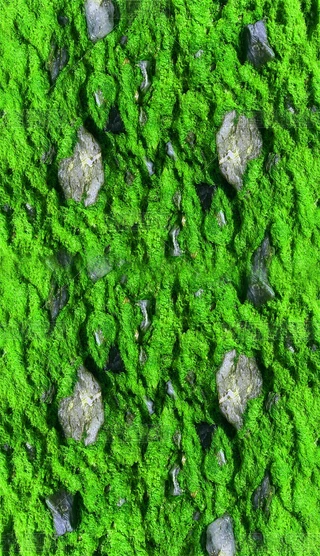 GɫƺGݵرԪ