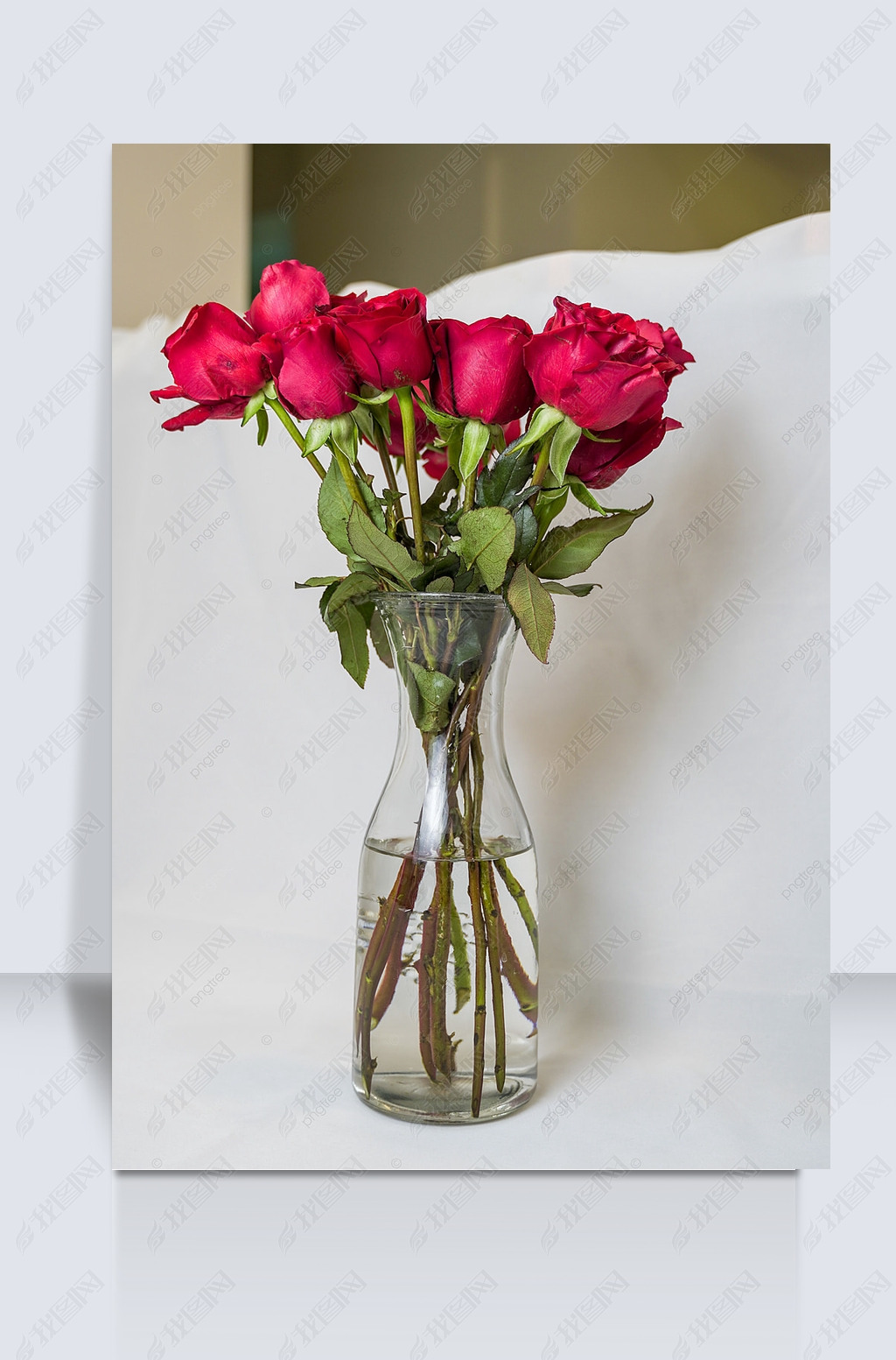 原创花瓶中的娇艳玫瑰花摄影图版权可商用