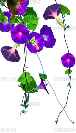 ⓸زɫţ