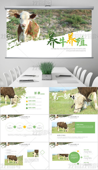 B(ti)ԭI(y)ţB(yng)ֳI(y)PPTģ