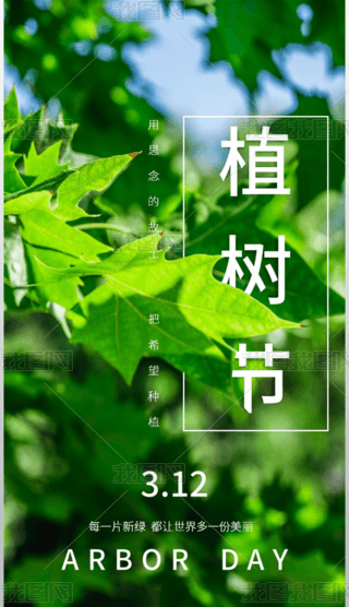312GɫСֲ九溣