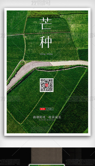 yʮĹâN