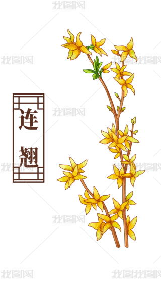 BNˎˎĲ宋Ԫ