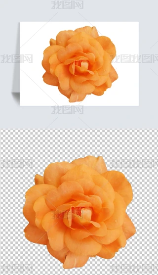 ⓸PNGõ¼ĵ㙉ɫɫֲ