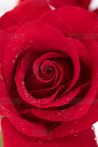 tɫõ廨،DƬ