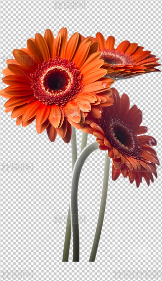޾ջ͸⓸zӰDƬزĺ(bo)