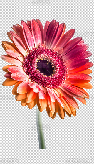 ޾ջ͸⓸zӰDƬزĺ(bo)