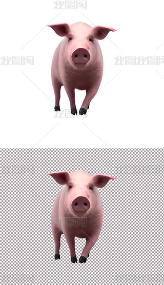 ii^iŹB(yng)i(9)