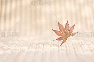 ~ëDƬ