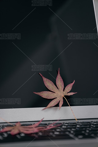 DƬ