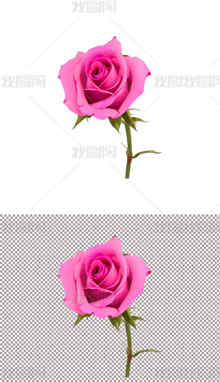 ɫõ廨ֲﻨ520˹(ji)(i)(5)