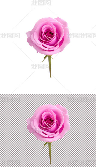 ɫõ廨ֲﻨ520˹(ji)(i)(2)