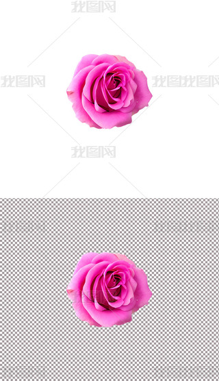 ɫõ廨ֲﻨ520˹(ji)(i)(8)