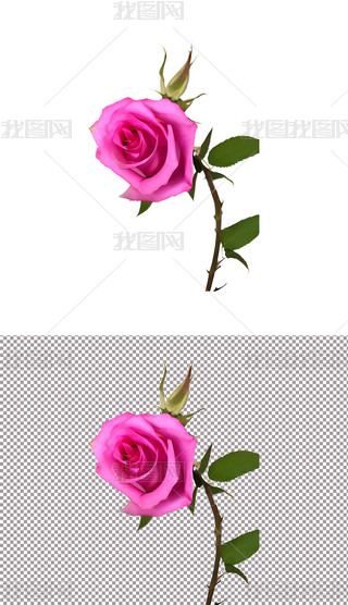 ɫõ廨ֲﻨ520˹(ji)(i)(9)
