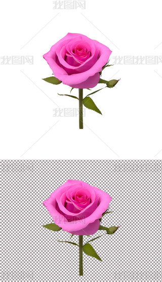 ɫõ廨ֲﻨ520˹(ji)(i)(6)