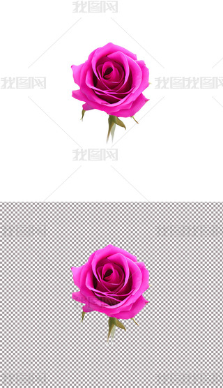 ɫõ廨ֲﻨ520˹(ji)(i)(10)
